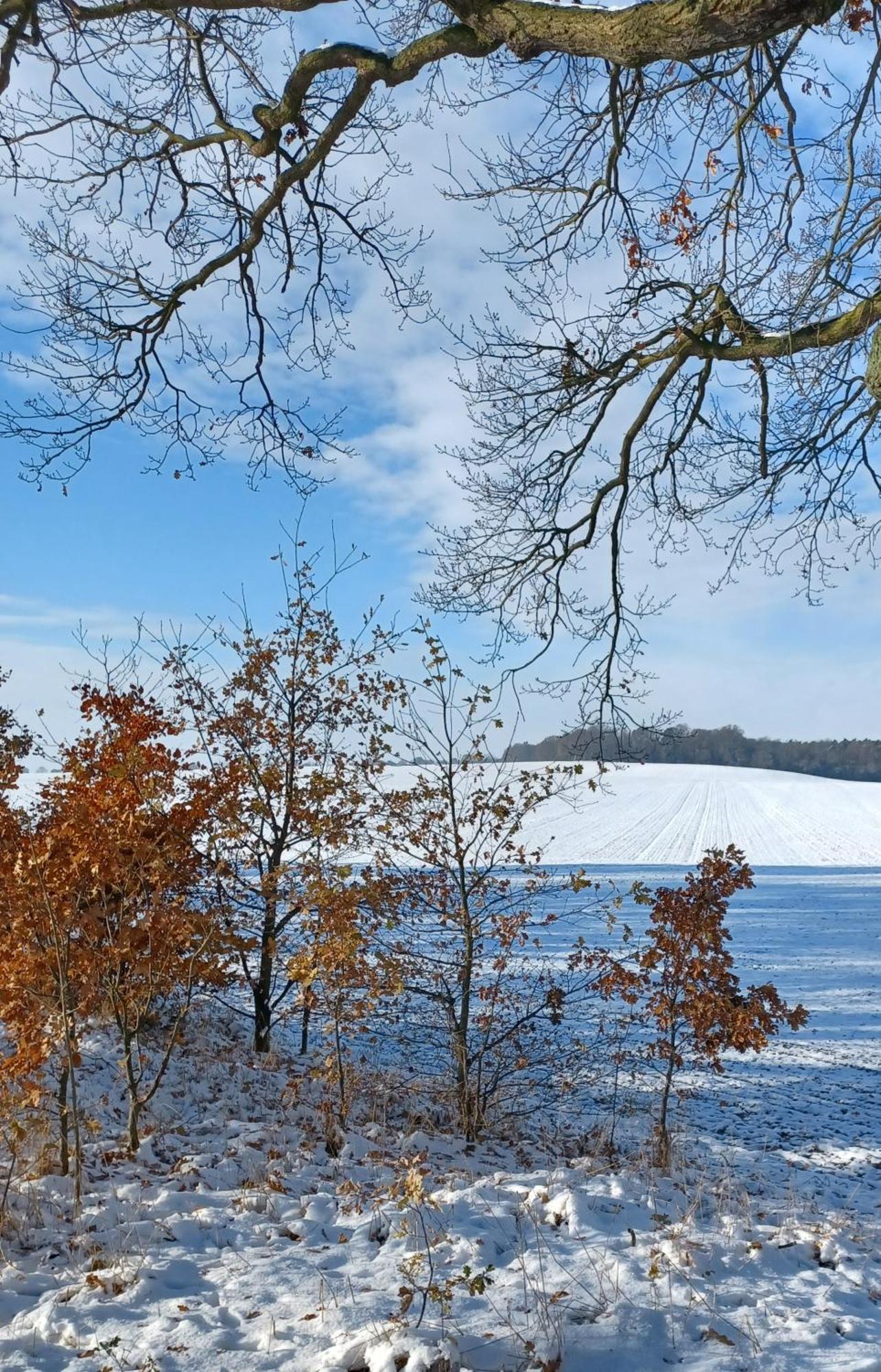 Waldblick Cavertitz Exterior foto